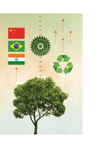 Os Bics e o Desenvolvimento Verde: como a China está forjando um novo modelo de desenvolvimento verde que o Brasil, a Índia e outros já estão copiando – John A. Mathews 